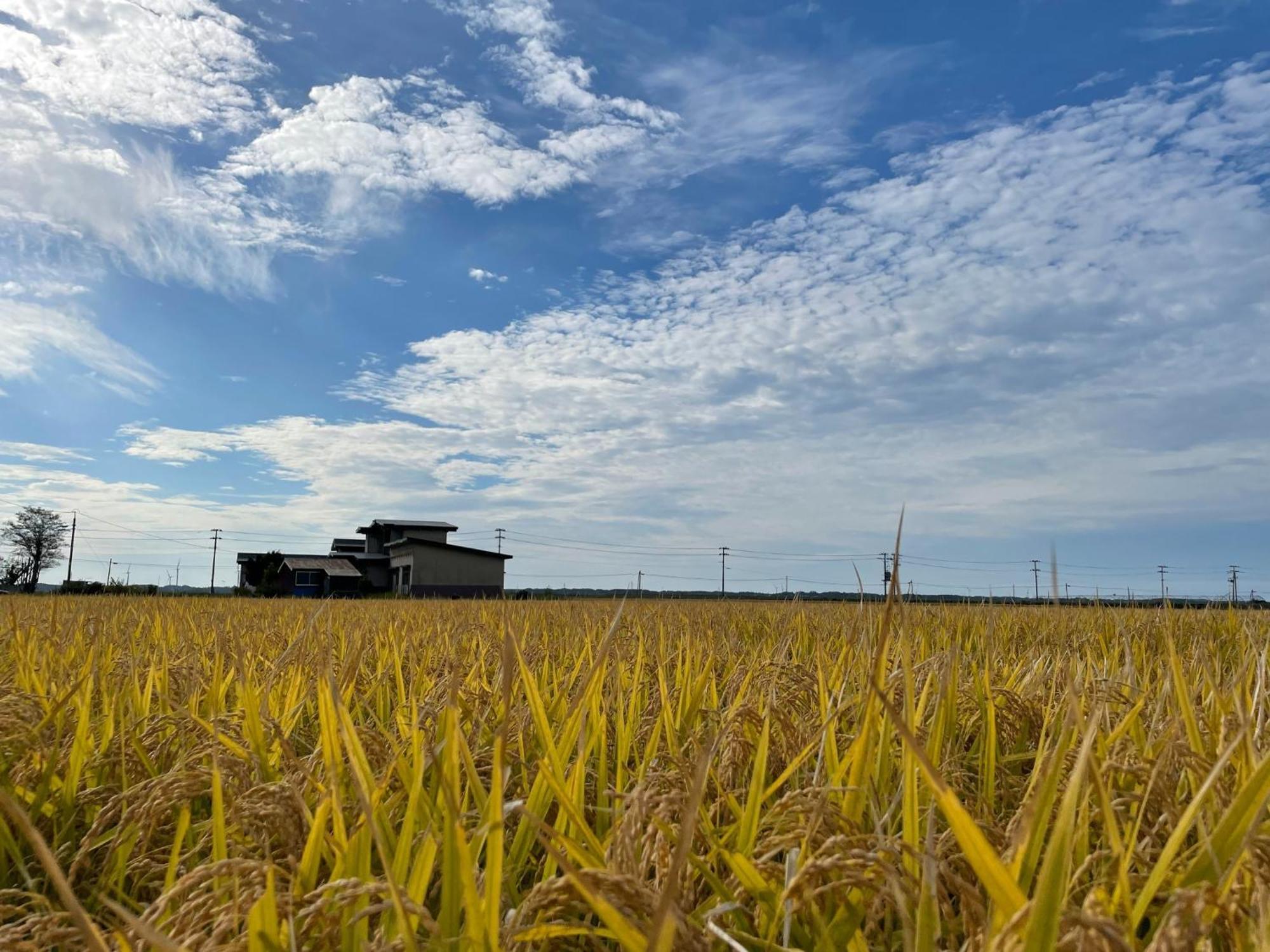 Tanonagano Yadokko - Vacation Stay 46285V Goshogawara Exterior foto